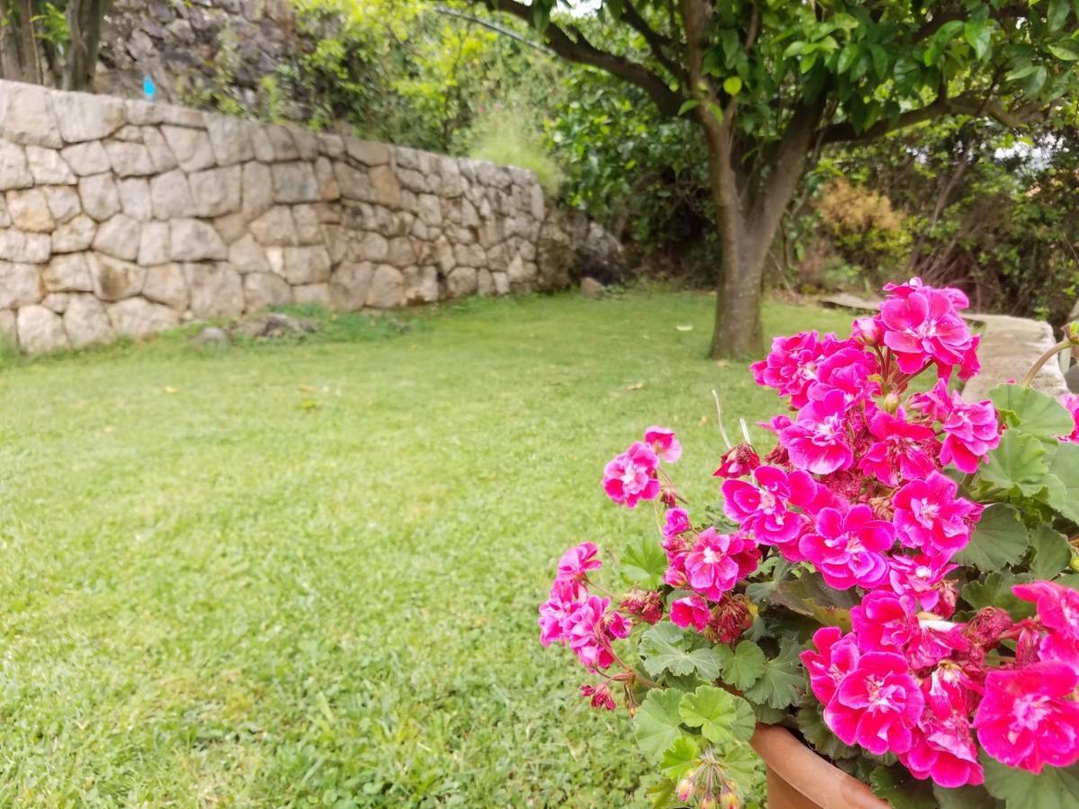 Marivo Guest House Molunat Ngoại thất bức ảnh